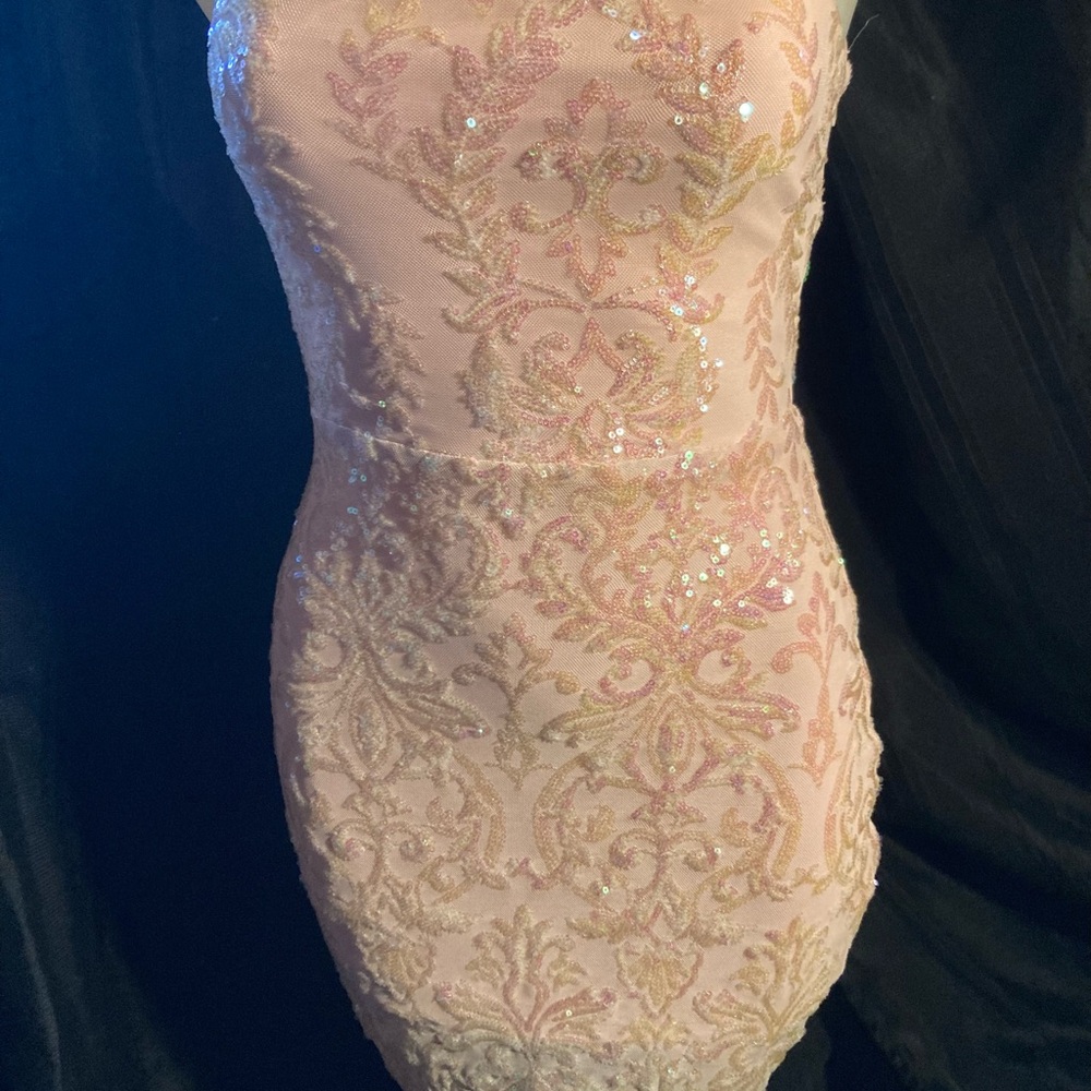 Windsor Blush Sequin Embellished Dress - Picture 2 of 8